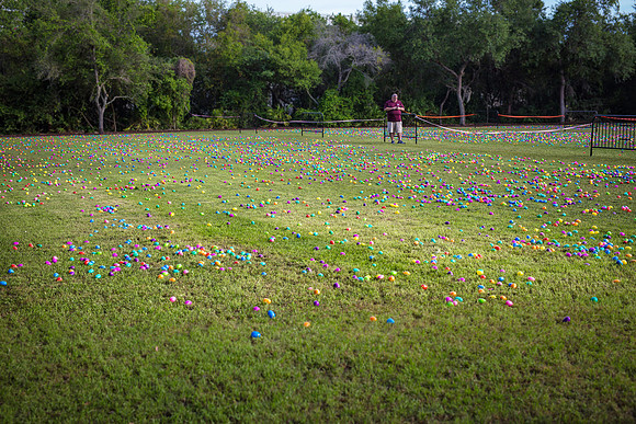 Celebration-Easter-egg-hunt_1252