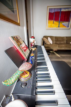 Celebration-Holiday-Home-Tour-2022_Stop4-515-Longmeadows-St-6759