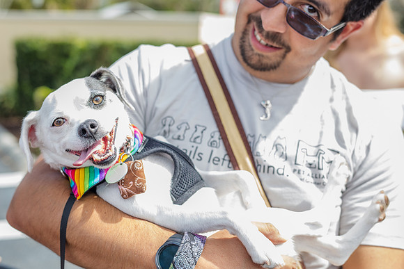Celebration-Posh-Pooch-2276
