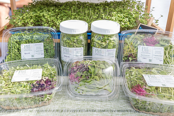 20240324-Plant-Prana-Wellness-7770-