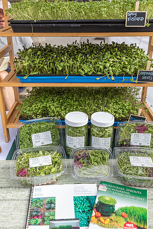 20240324-Plant-Prana-Wellness-7763-