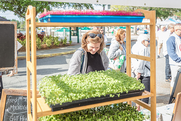 20240324-Plant-Prana-Wellness-7781