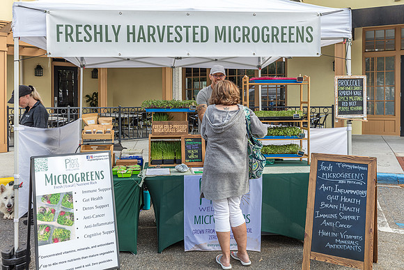 20240324-Plant-Prana-Wellness-7784