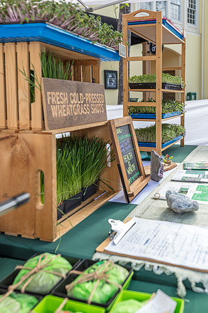 20240324-Plant-Prana-Wellness-7791