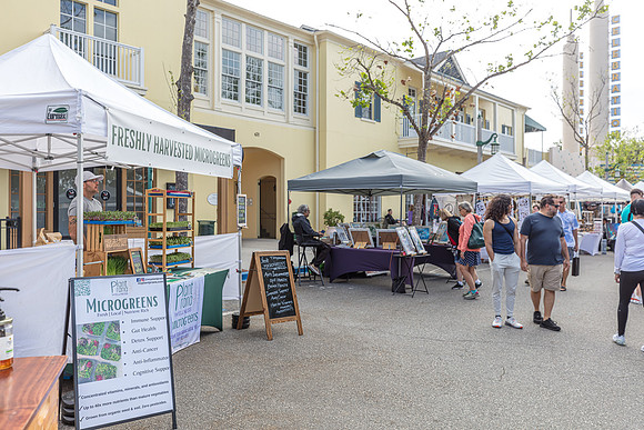 20240324-Plant-Prana-Wellness-7803