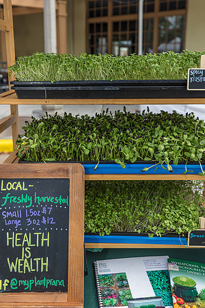 20240324-Plant-Prana-Wellness-7814