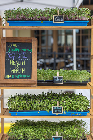 20240324-Plant-Prana-Wellness-7819-