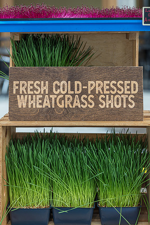 20240324-Plant-Prana-Wellness-7823-