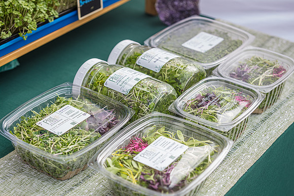 20240324-Plant-Prana-Wellness-7825