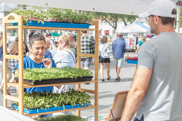 20240324-Plant-Prana-Wellness-7840