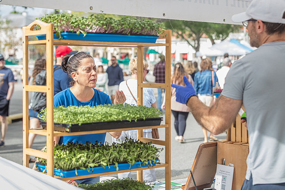 20240324-Plant-Prana-Wellness-7841