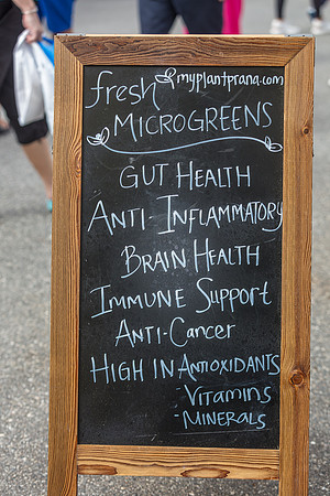 20240324-Plant-Prana-Wellness-7842