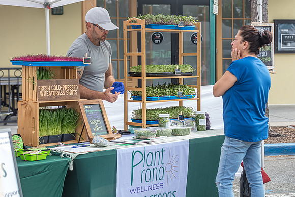20240324-Plant-Prana-Wellness-7845