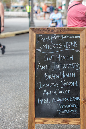 20240324-Plant-Prana-Wellness-7843