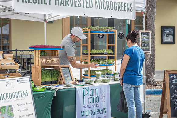 20240324-Plant-Prana-Wellness-7847