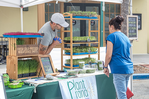 20240324-Plant-Prana-Wellness-7848