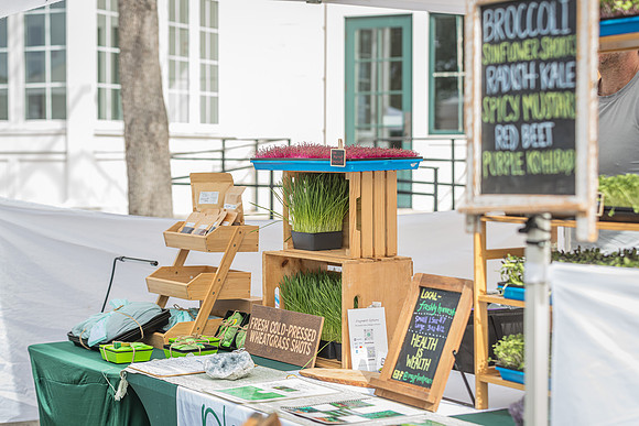 20240324-Plant-Prana-Wellness-7859