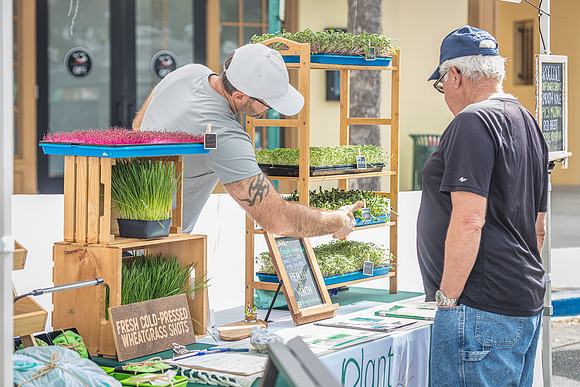 20240324-Plant-Prana-Wellness-7865-