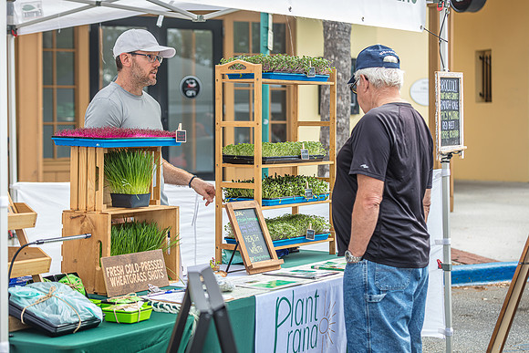 20240324-Plant-Prana-Wellness-7866
