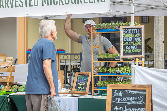 20240324-Plant-Prana-Wellness-7876