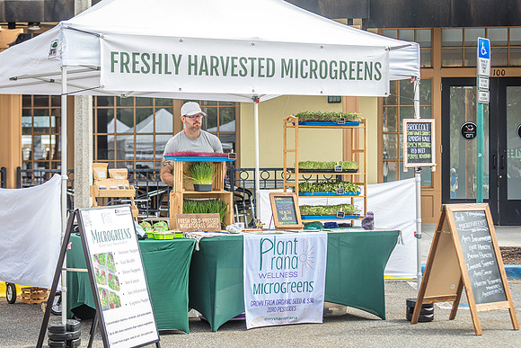 20240324-Plant-Prana-Wellness-7874