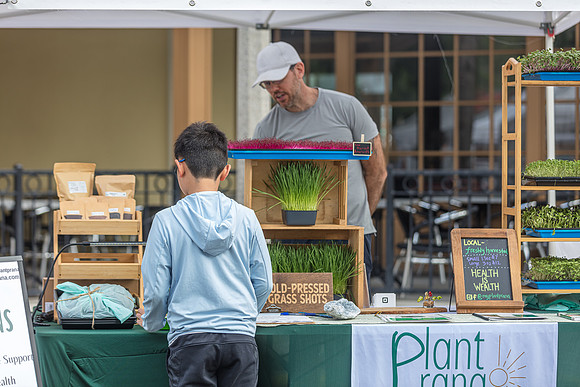 20240324-Plant-Prana-Wellness-7878