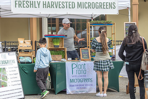 20240324-Plant-Prana-Wellness-7880