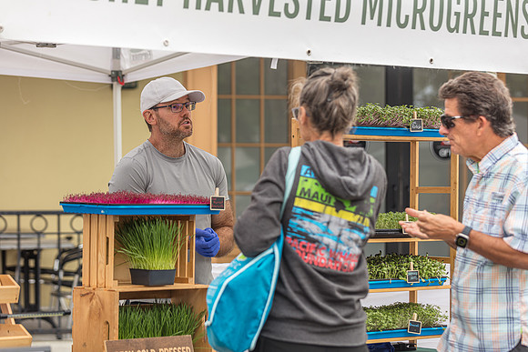 20240324-Plant-Prana-Wellness-7898