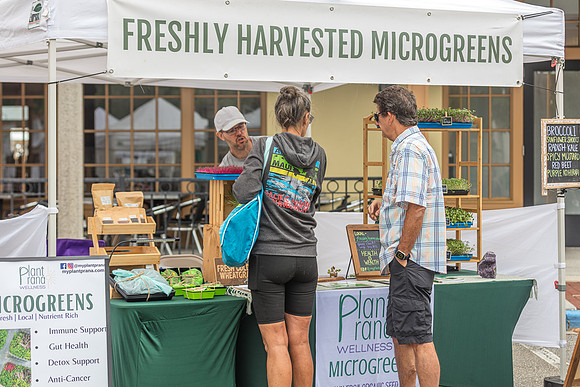 20240324-Plant-Prana-Wellness-7896