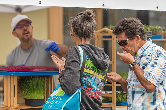 20240324-Plant-Prana-Wellness-7897