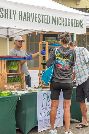 20240324-Plant-Prana-Wellness-7901