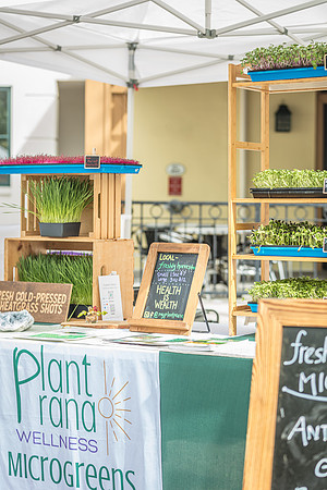20240324-Plant-Prana-Wellness-7905