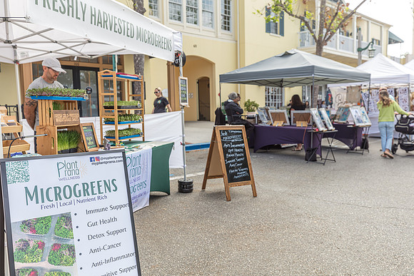 20240324-Plant-Prana-Wellness-7806