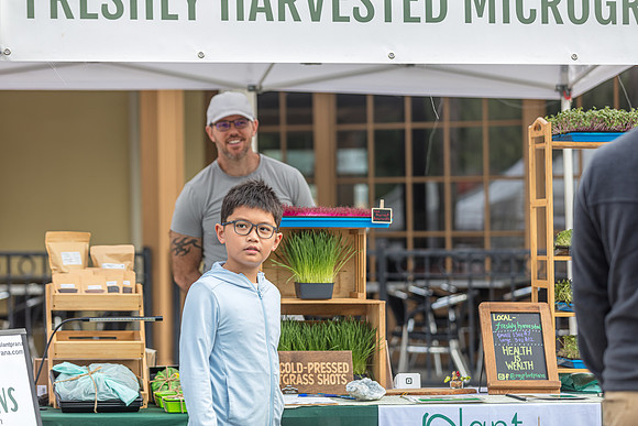 20240324-Plant-Prana-Wellness-7879