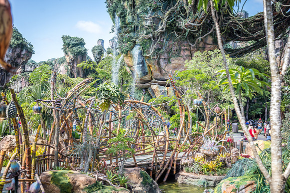 Pandora-Disney-Animal-Kingdom-2768.jpg