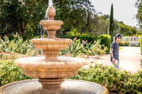 Leu Gardens Orlando
