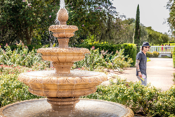 Leu Gardens Orlando