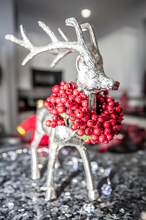 Celebration-Holiday-Home-Tour-2022_Stop6-866-Spring-Park-Loop-7211