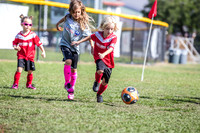 Celebration-Youth-Soccer-Spring-2018-3773