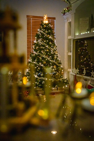 Celebration-Holiday-Home-Tour-2022_Stop2-300-Charleston-Pl-6575-