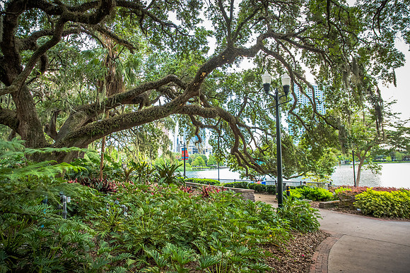 Orlando_LakeEola-4039.jpg