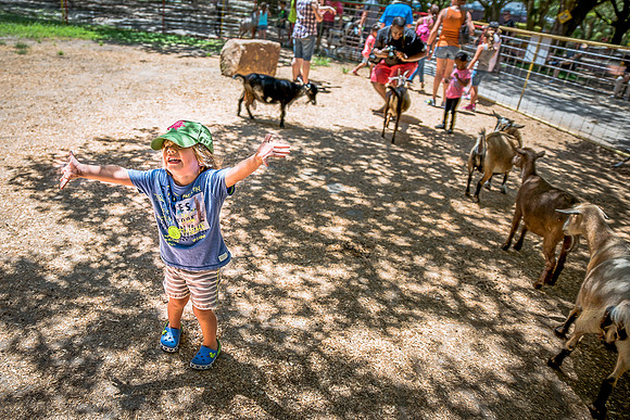 Green-Meadows-Farm-8991.jpg