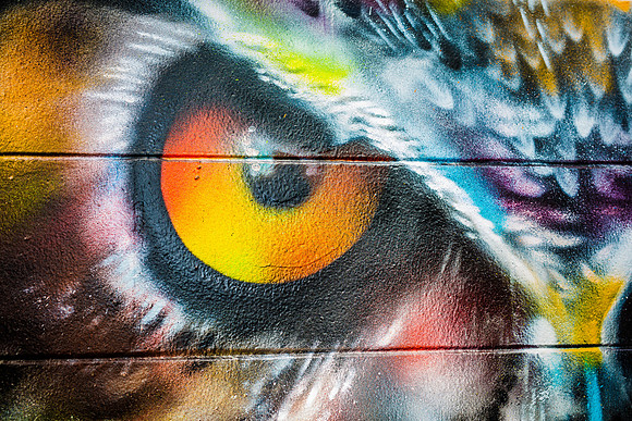Sam-Flax-Orlando-Wall-Project-6111ric.one