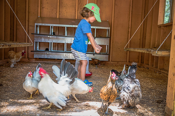 Green-Meadows-Farm-9014.jpg