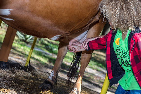 Green-Meadows-Farm-School-Field-Trip-8165.jpg