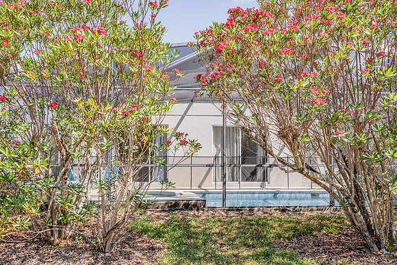 20240506-Real-Estate-Airbnb_16700-Glenbrook-blvd-Clermont-9677