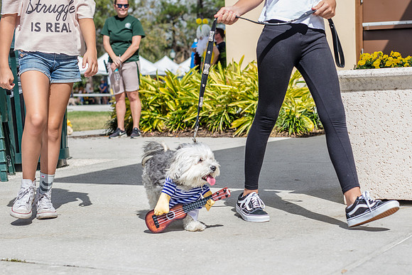 Celebration-Posh-Pooch-2354