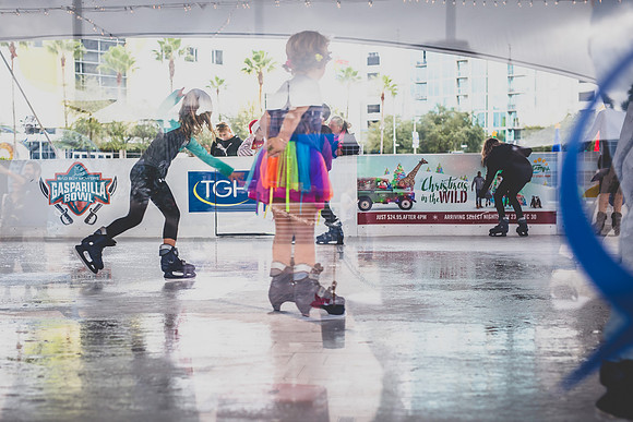 Tampa-3925ice