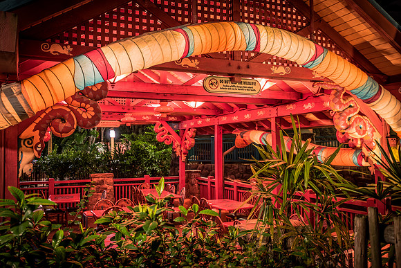 Disney-Animal-Kingdom-2765.jpg