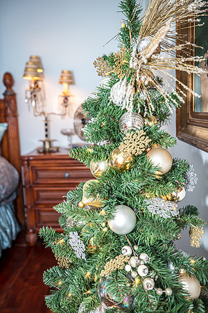 Celebration-Holiday-Home-Tour-2022_Stop1-506-Longmeadows-St-7067